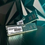 Модуль памяти для компьютера DDR5 32GB 5200 MHz Signature Line Patriot (PSD532G52002) - уменьшенное изображение 3