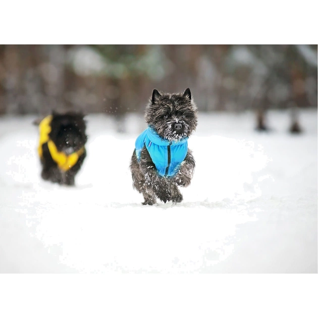 Курточка для тварин Collar AiryVest "Colors of freedom" XS 30 (4441-4020) - picture 7