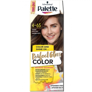Фарба для волосся Palette Perfect Gloss Color 4-65 Гаряче капучино 70 мл (4015100337723) зображення 1