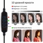 Набір блогера Puluz Ring USB LED lamp PU407 11.8" (PU407) - preview 2
