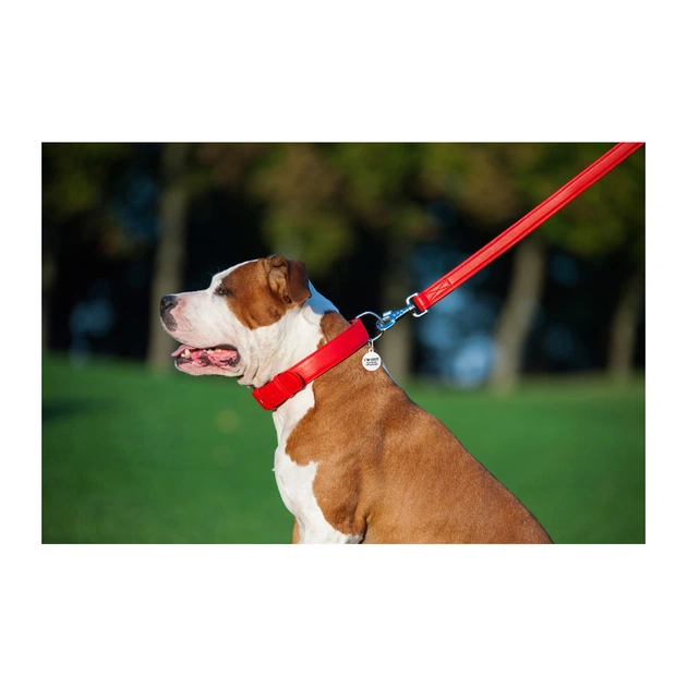 Повідець для собак WAUDOG Glamour шкіряний M-XXL червоний (33763) - picture 7