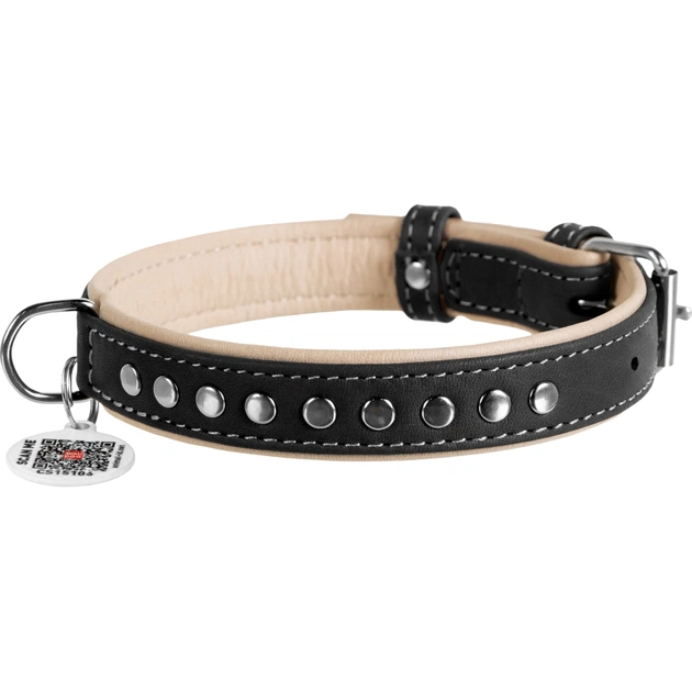 Нашийник для тварин WAUDOG Soft з QR паспортом, металеві прикраси S Ш 20 мм Д 30-39 см (7196) - picture 2
