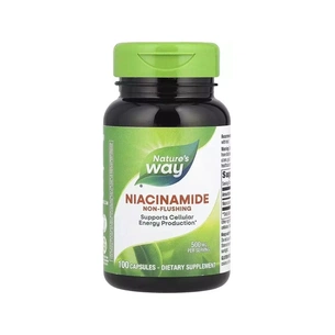 Вітамінно-мінеральний комплекс Nature's Way Ніацинамід, 500 мг, Niacinamide, 100 капсул (NWY-40480) зображення 1