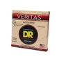 Струни для гітари DR Strings VERITAS Coated Core Acoustic Guitar Strings - Extra Light (10-48) (VTA-10) - зменшене зображення 2
