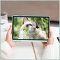 Чехол для планшета BeCover Soft Edge Samsung Galaxy Tab S10 FE (SM-X520/SM-X526) 10.9" Green (713303) - уменьшенное изображение 5