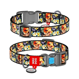 Нашийник для тварин WAUDOG Nylon з QR-паспортом "Гламурні черепа" пластиковий фастекс XL (4816) зображення 1