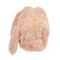 Пенал Astrabag Fluffy Kitty (505024044) - зменшене зображення 4