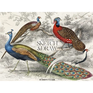 Альбом для малювання Школярик для ескізів та малювання, MUSE А5 40 аркушів 115г/м2 (PB-GB-040-068) зображення 1