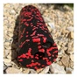 Масажний ролик PowerPlay PP-4346 Mini EPP Foam Roller 15x5,3см Чорно/Червоний (PP_4346_Red_(15*5)) - зменшене зображення 4