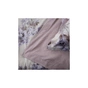 Постільна білизна Viluta 08 Brushed Warm Cotton (50 х 70 - 2 шт) євро (W08_Warm_ev) - зменшене зображення 6