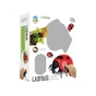 Радіокерована іграшка Best Fun Toys Ladybug (6337205) - зменшене зображення 2
