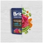Вологий корм для собак Brit Premium Fillets in Gravy Multipack для малих порід філе в соусі Мультипак 12 шт х 85 г (8595602572472) - зменшене зображення 7