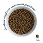 Сухий корм для собак Home Food ADULT MINI Low-grain For active adult and junior з ягням та рисом 1.6 кг (4820235020422) - зменшене зображення 4