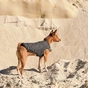 Жилет для тварин Pet Fashion "E.Vest" XS-2 сірий (4823082424368) - зменшене зображення 5