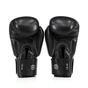 Боксерські рукавички Fairtex BGV27 Black 10 унцій (бинти в комплекті) (BGV27_10oz_Black) - зменшене зображення 4