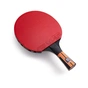 Ракетка для настільного тенісу Butterfly Timo Boll Comfort Junior FL (6110100009) (931846) - зменшене зображення 2