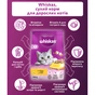 Сухий корм для кішок Whiskas з куркою 800 г (5998749144367) - зменшене зображення 2