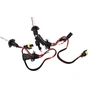 Автолампа WINSO HB3(9005) 5000K, 85V, 35W P20d (795500) - зменшене зображення 1