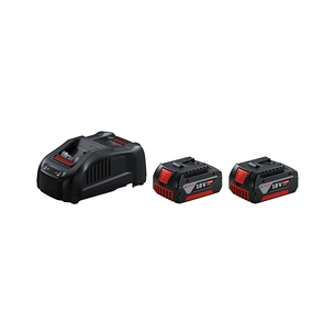 Набір акумулятор + зарядний пристрій Bosch 2 x 18 В 5,0 Ач + ЗП (1.600.A00.B8J) зображення 1