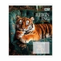 Тетрадь Yes Reign ing А5 48 листов клетка (769096) - уменьшенное изображение 4