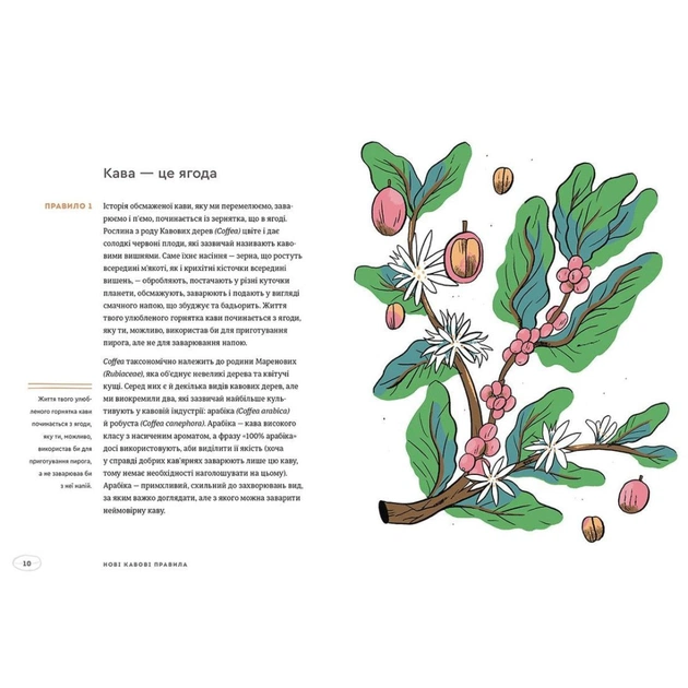 Книга Нові кавові правила - Захарі Карлсен, Джордан Майклмен Видавництво Старого Лева (9786176798910) - picture 3