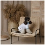 Футболка для животных Pet Fashion Polo М (4823082446407) - уменьшенное изображение 5