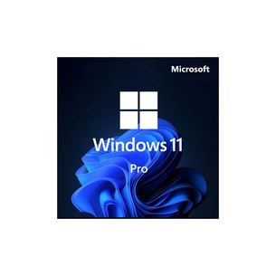 Операційна система Microsoft Win Pro 11 64-bit All Lng PK Lic Online DwnLd NR Конверт (FQC-10572-ESD) изображение 1