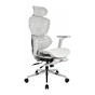 Крісло ігрове GT Racer X-7002 Gray/Gray/Light Gray (X-7002 Gray/Gray/Light Gray (Massage)) - зменшене зображення 2