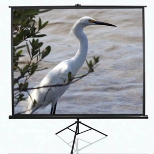 Проекційний екран T84UWV1 Elite Screens зображення 1