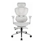 Крісло ігрове GT Racer X-7002 Gray/Gray/Light Gray (X-7002 Gray/Gray/Light Gray (Massage)) - зменшене зображення 1