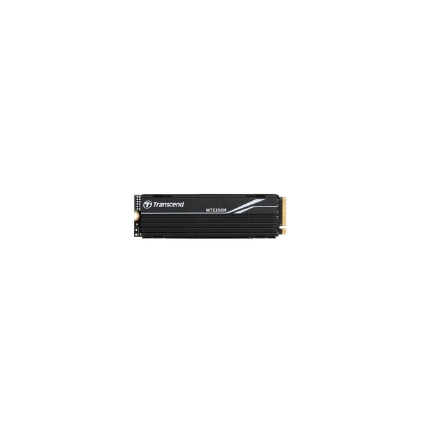 Накопичувач SSD M.2 2280 1TB Transcend (TS1TMTE250H) - зображення 1