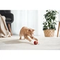 Игрушка для кошек Cheerble Wicked Ball M3 (Vintage Red) (CWQ02R) - уменьшенное изображение 5