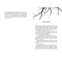 Книга Порушники. Книга 2. Провідник - Клер Мак-Фолл Readberry (9786170972675) - зменшене зображення 3