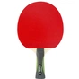 Ракетка для настільного тенісу Gewo Champ FL (809900001) (931049) - зменшене зображення 1
