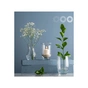 Ваза Trend Glass Asta 18 см (35445) - зменшене зображення 3