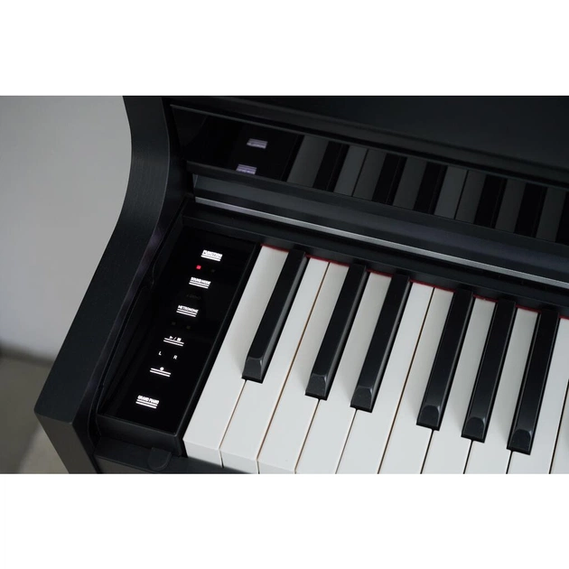 Цифрове піаніно Casio AP-S450BK (363169) - picture 5