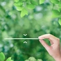 Гігієнічні прокладки Naturella Ultra Maxi Quatro 32 шт (4084500844483) - зменшене зображення 6