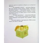 Книга Котулаки і цвіт папороті - Галина Ткачук Ранок (9786170990280) - зменшене зображення 11