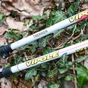 Треккинговые палки Vipole Trekker Violet (S25 11) (DAS303452) - уменьшенное изображение 6