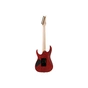 Электрогитара Ibanez RGR420FMSP-TGF (302362) - уменьшенное изображение 2