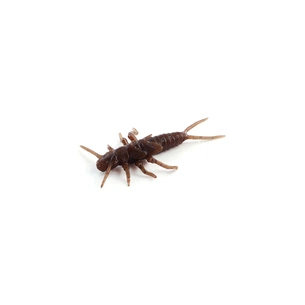 Силікон рибальський FishUP Stonefly 0.75" 012 - Chaos (12шт/уп) (1864.00.36) зображення 1