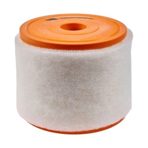 Повітряний фільтр для автомобіля Champion CAF101081R зображення 1