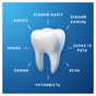 Зубная паста Oral-B Pro-Expert Бережное отбеливание 75 мл (8006530090537) - уменьшенное изображение 6