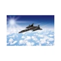 Сборная модель Revell модель самолет Lockheed SR-71 Blackbird, уровень 2, 1:110 (RVL-03652) - уменьшенное изображение 11