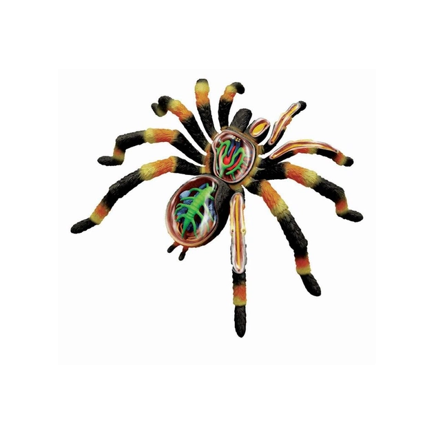 Пазл 4D Master Павук Тарантул (FM-622032) - picture 4