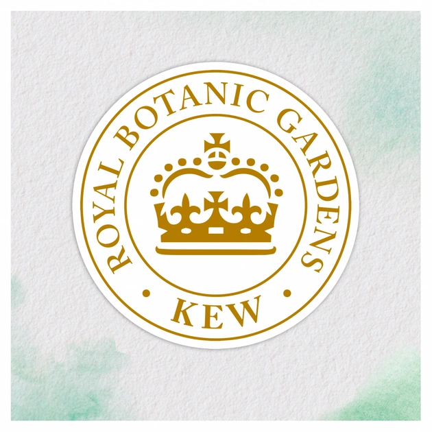 Кондиціонер для волосся Herbal Essences Марокканська арганова олія 275 мл (8001841436869/8006540099087) - picture 2