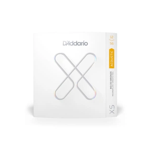 Струни для гітари D'Addario XS 80/20 Bronze Light Top / Medium Bottom (12-56) (XSABR1256) зображення 1