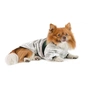 Курточка для тварин Pet Fashion Bony ХS2 біло-зелена (4823082442898) - зменшене зображення 3