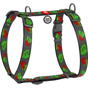 Шлея для собак WAUDOG Nylon з QR паспортом анатомічна H-подібна "Калина" L (5160-0228) изображение 1