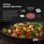 Гриль-барбекю Weber Master-Touch GBS E-5750 57 см Black (14701004) - зменшене зображення 9